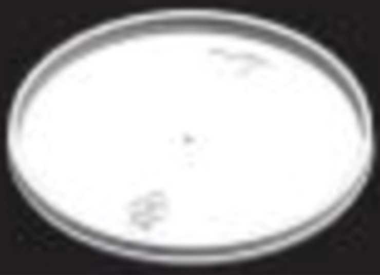 Product gallery 2492062