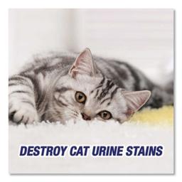 Product thumb gallery 2632400