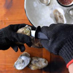 Product thumb gallery 2755856