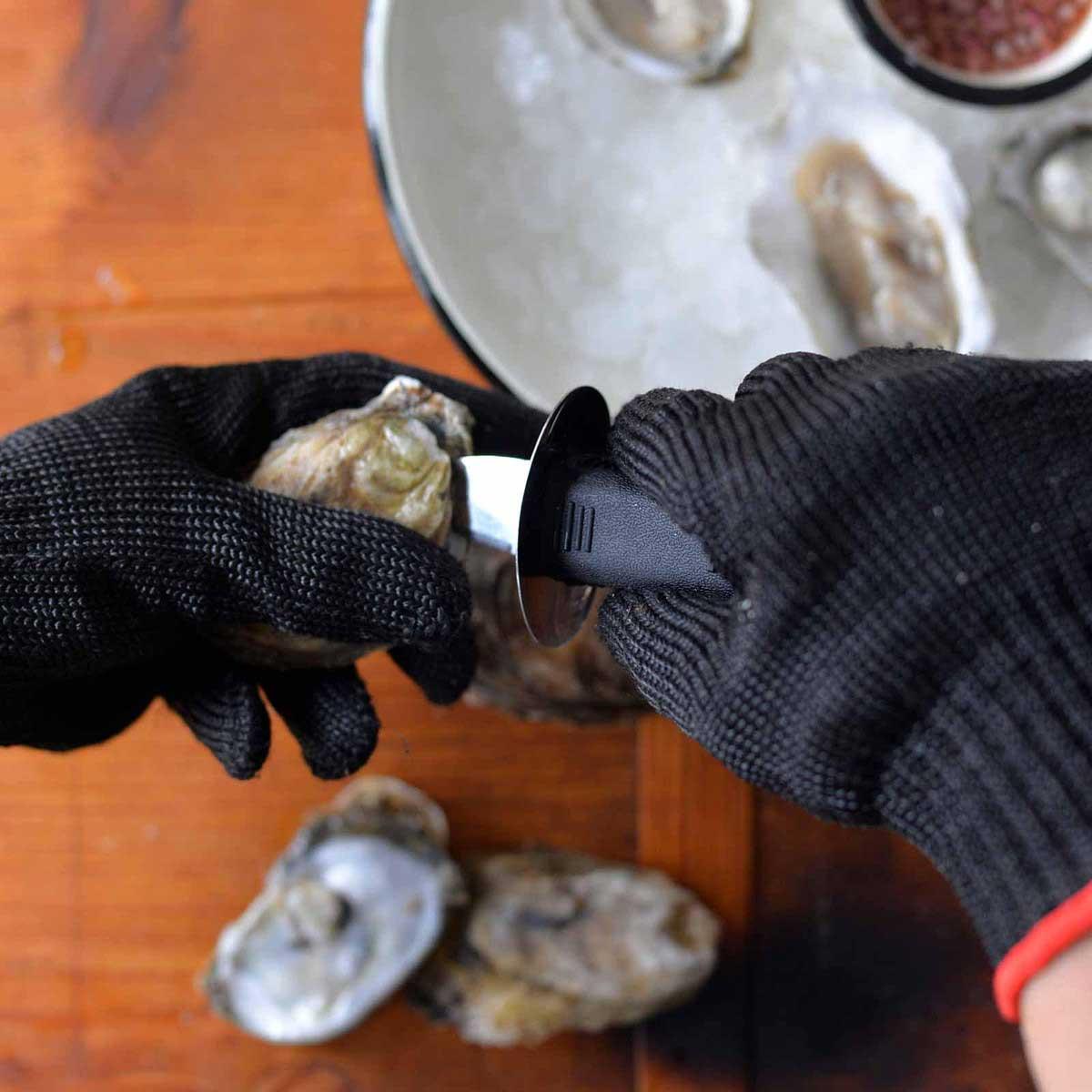 Product gallery 2755856