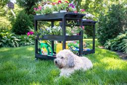 Product thumb gallery 2553583