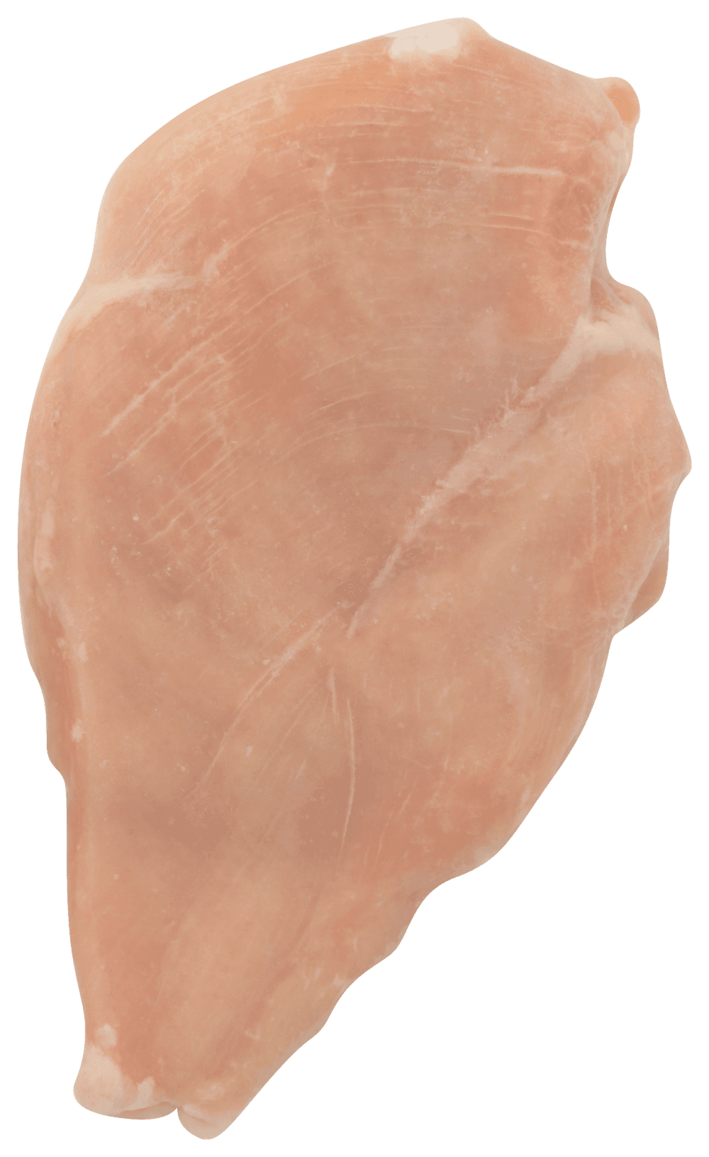 Product gallery 2874788