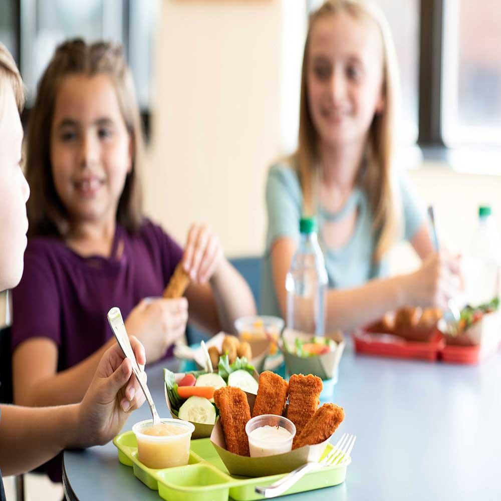 Product gallery 3219431