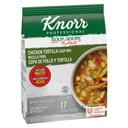 Single Knorr Professional Soup du Jour Chicken Tortilla Soup Mix, 14.4 Ounce