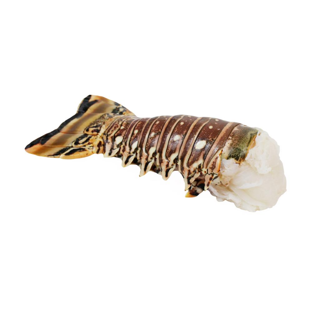 Product gallery 2979082