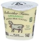 Bellwether Farms Organic Plain Whole Milk Yogurt, 5.3 Ounce -- 12 per case