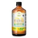 Health-Ade Ginger Pineapple Belly Reset Kombucha, 16 Fluid Ounce -- 12 per case