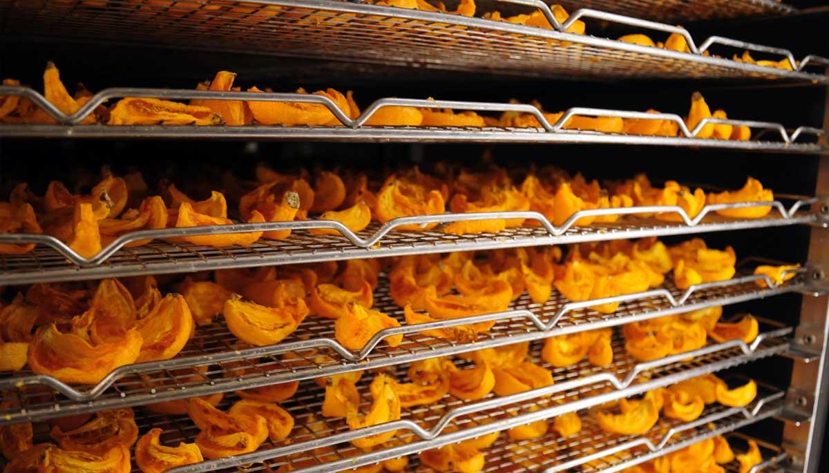 Product gallery 1536551