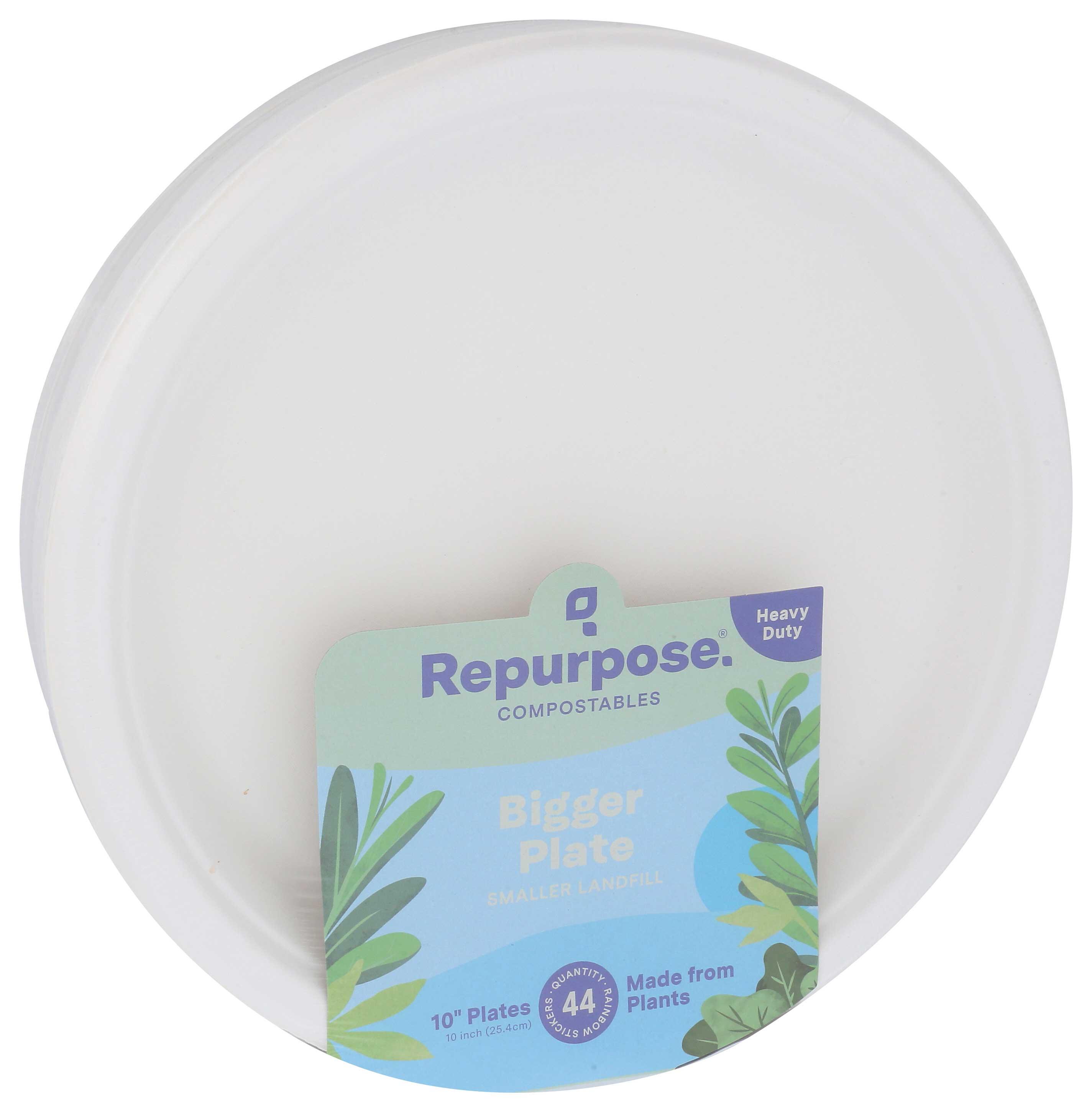 Product gallery 2431901