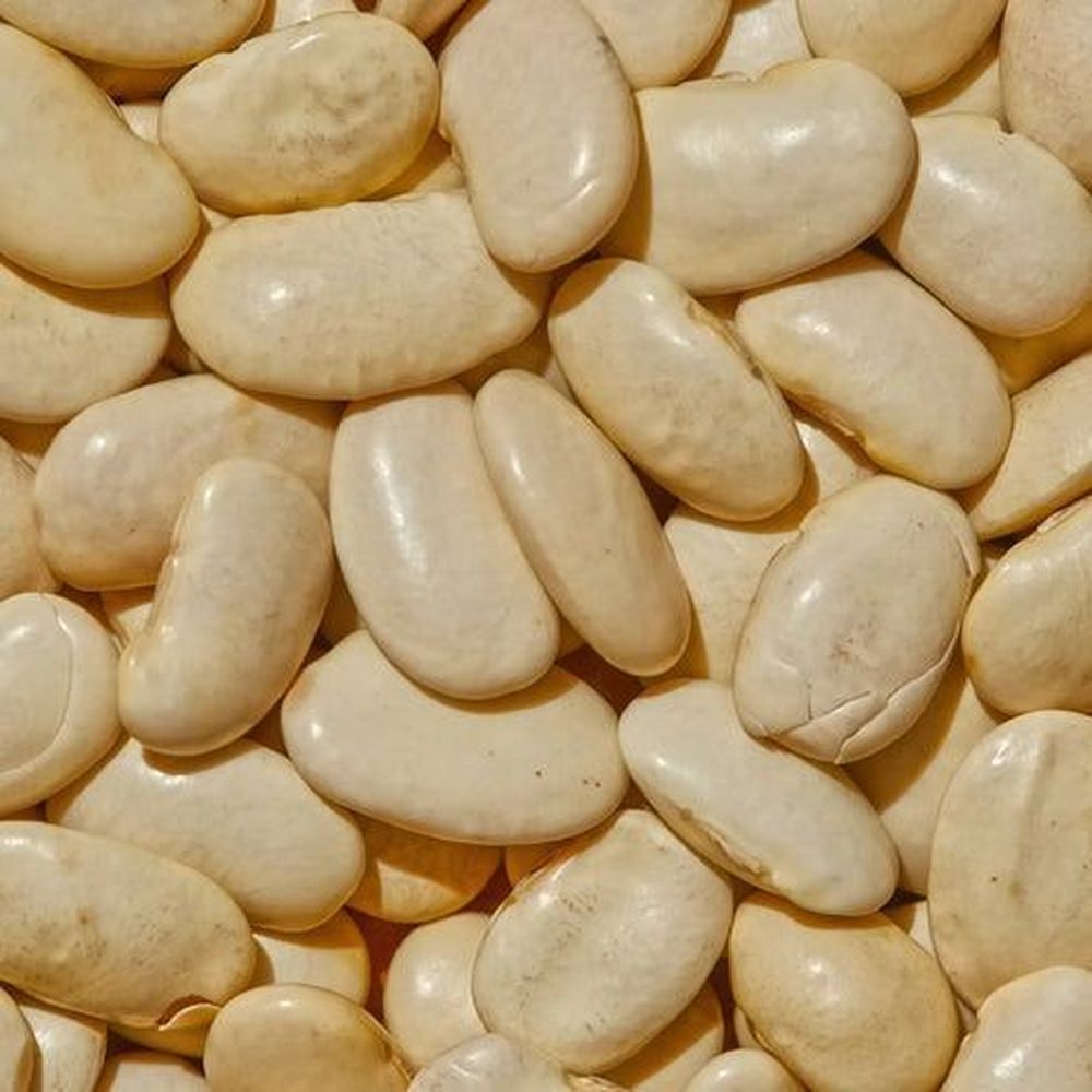 Simpli Regenerative Organic Gigante Beans, 1 Pound -- 25 per case
