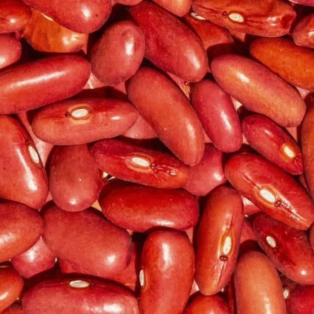 Simpli Organic Red Kidney Beans, 25 Pound