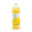 Verde 52 Percent Cold-Pressed Lemonade Base Juice, 33.8 Ounce -- 6 per case