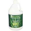 Real Aloe Farm Fresh Aloe Vera Gel, 1 Gallon