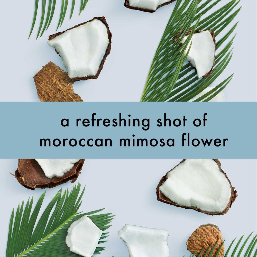 Product gallery 4332903