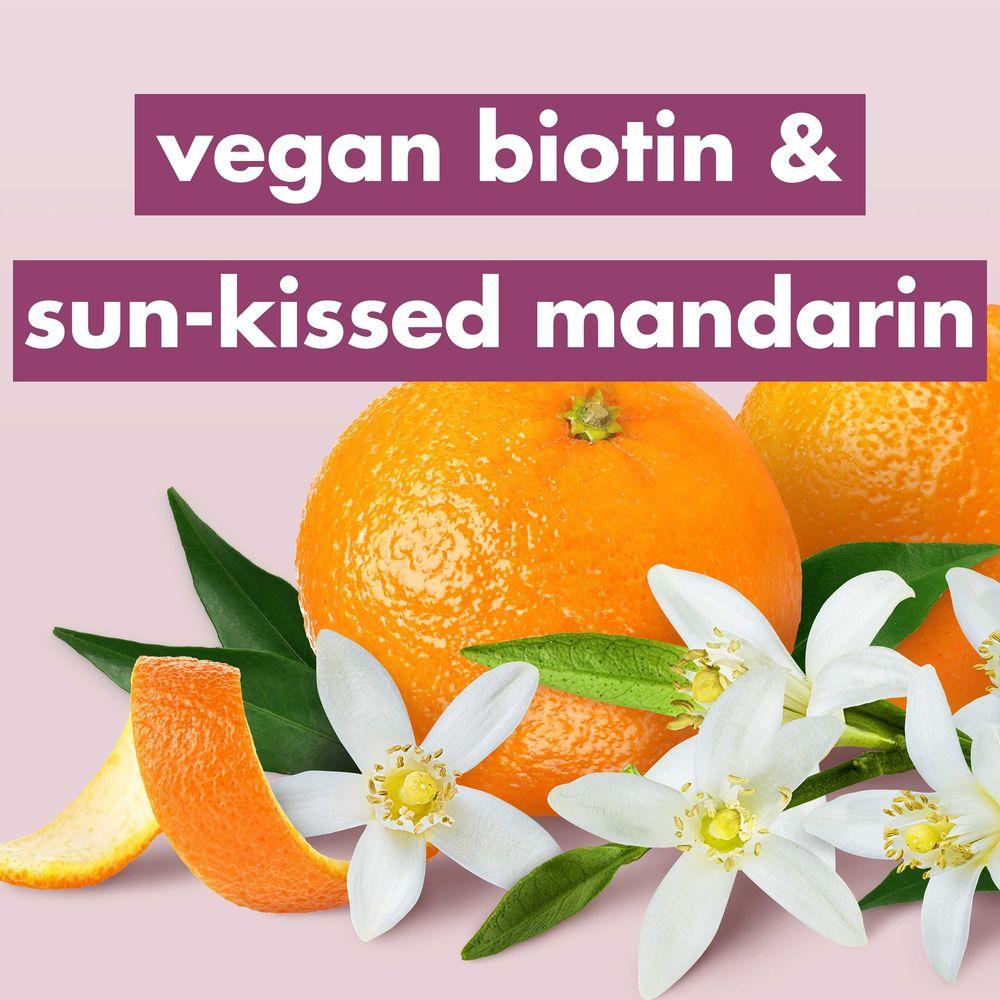 Product gallery 4333020