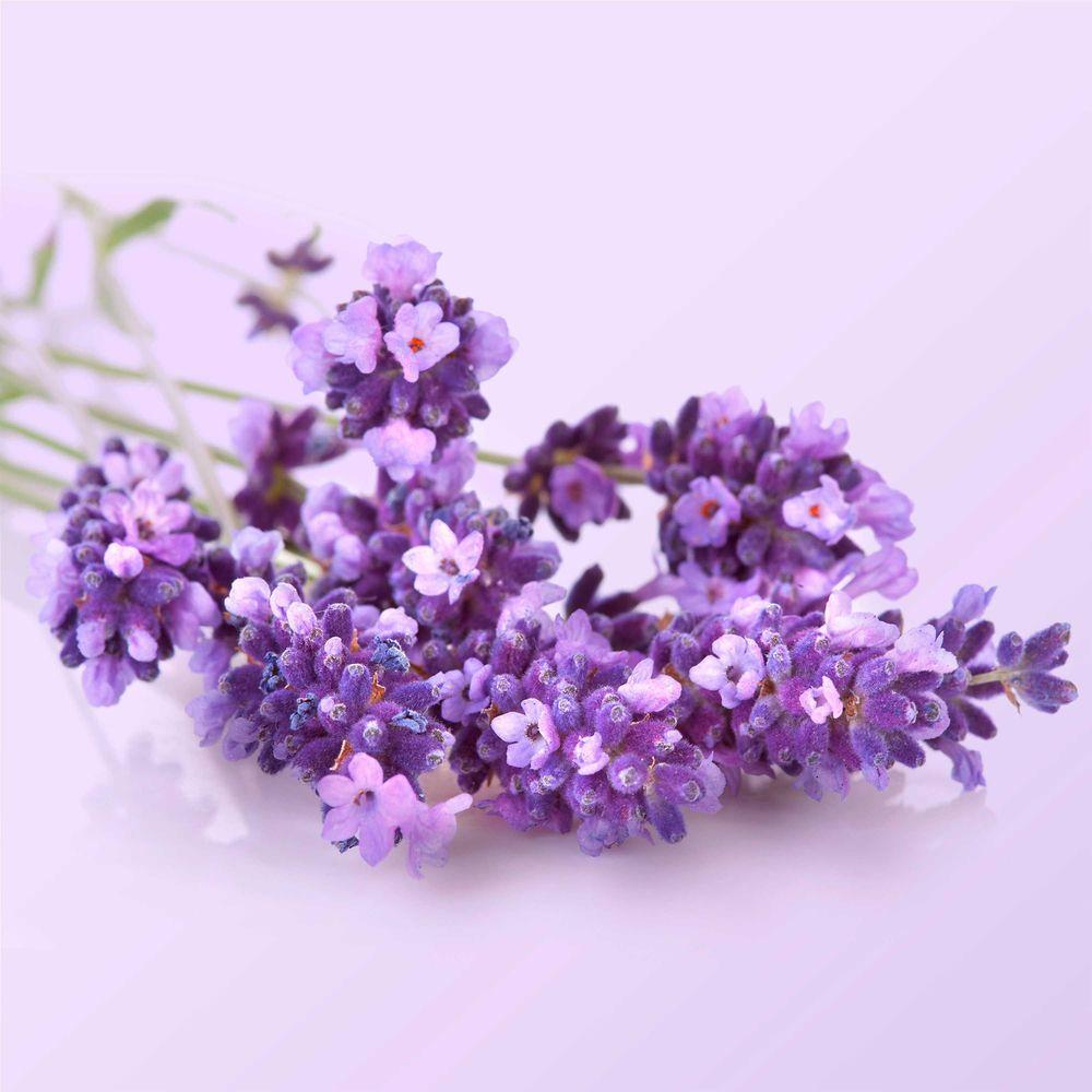 Product gallery 4333311