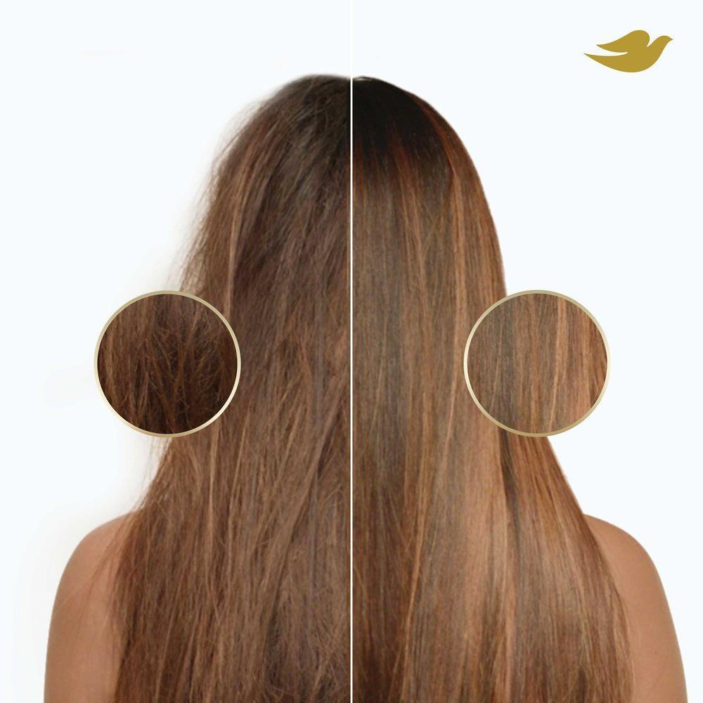 Product gallery 4342596