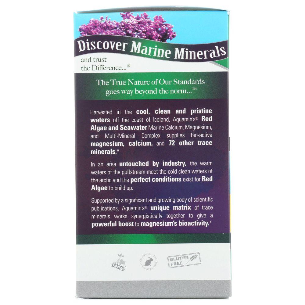 Product gallery 4488070