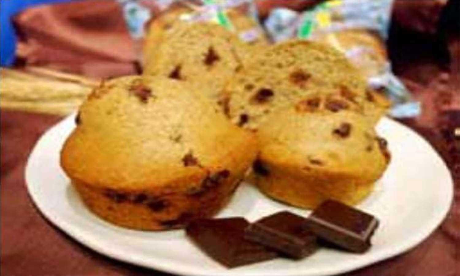 Product gallery 2133904