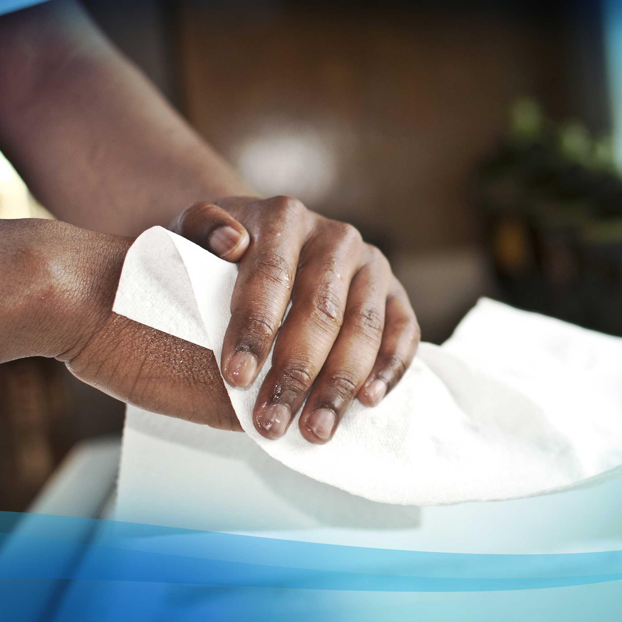 Product gallery 2498204