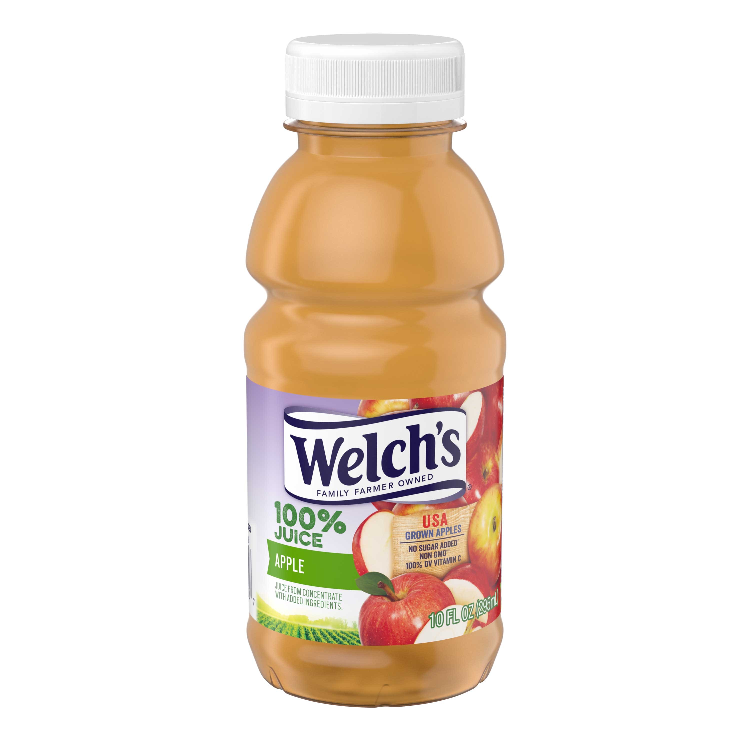 Welch's 100 Percent Apple Juice Drink, 10 Ounce -- 24 Case
