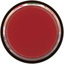 Marzetti Strawberry Glaze, 13.5 Ounce -- 12 per case