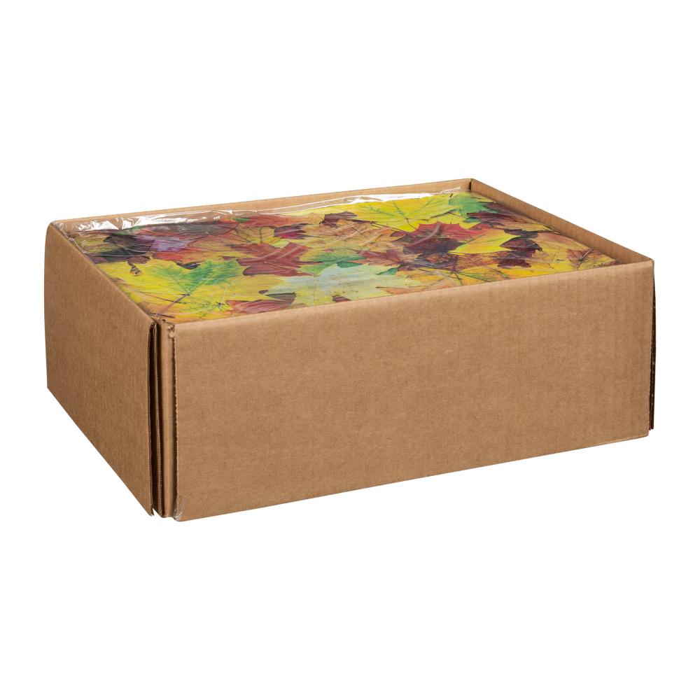 Product gallery 2957233