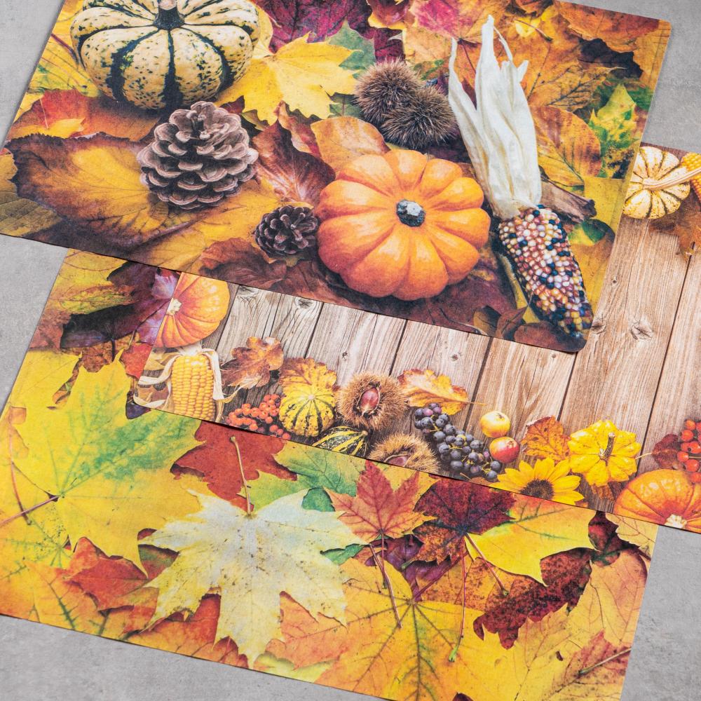 Product gallery 2957239