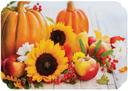 Hoffmaster Paper Linen Embossed Harvest Delight Placemat, 9.75 x 14 inch -- 1000 per case.