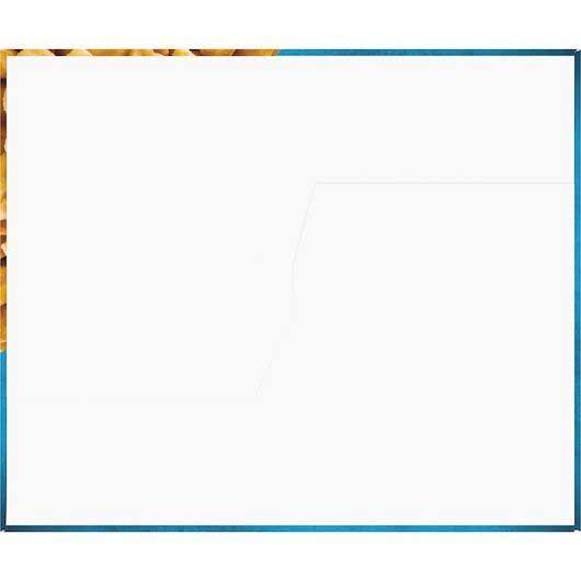 Product gallery 2766410