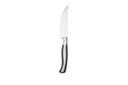 Oneida Caspian One Piece Steak Knife -- 12 per case.