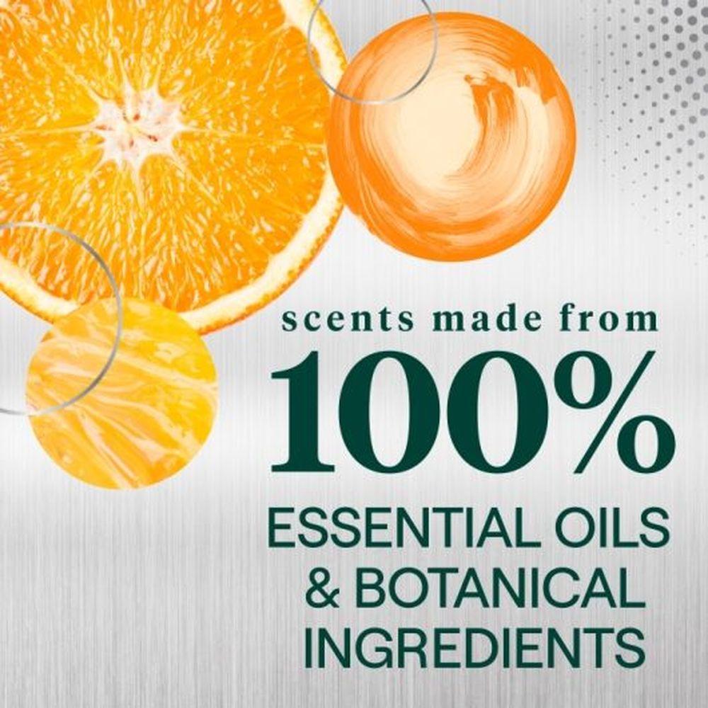 Product gallery 4213351