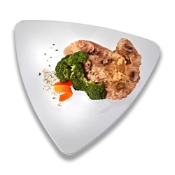 Triangles Clear Dinner Plate -- 120 per case.