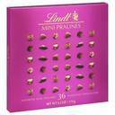 Lindt Mini Chocolate Pralines - Magenta Box, 6.2 Ounce -- 8 per case