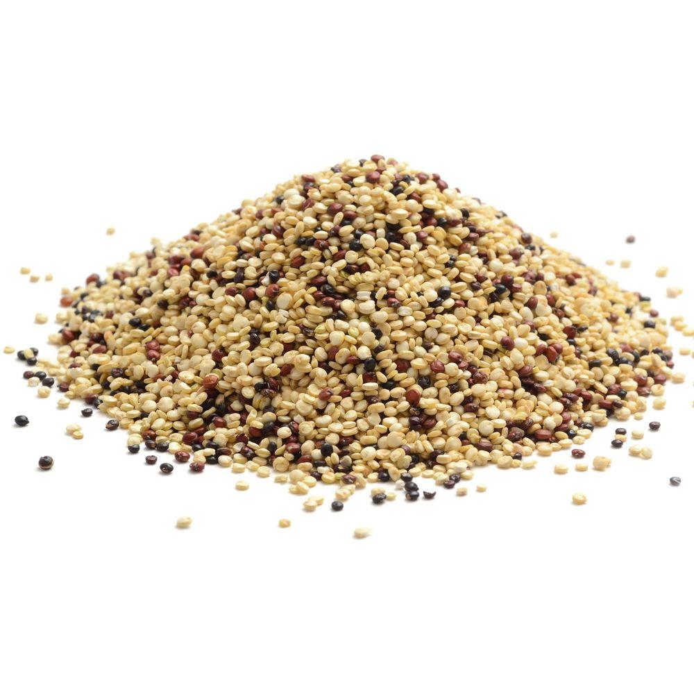 Product gallery 2437316