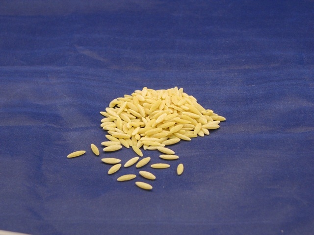 Ravarino and Freschi Short Orzo Rosamarina Pasta, 5 Pound -- 4 per case.