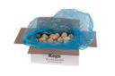 Stone Gate Foods Jumbo Stuffed Tater Keg with Bacon White Cheddar and Chives, 1.5 Ounce -- 106 per case.