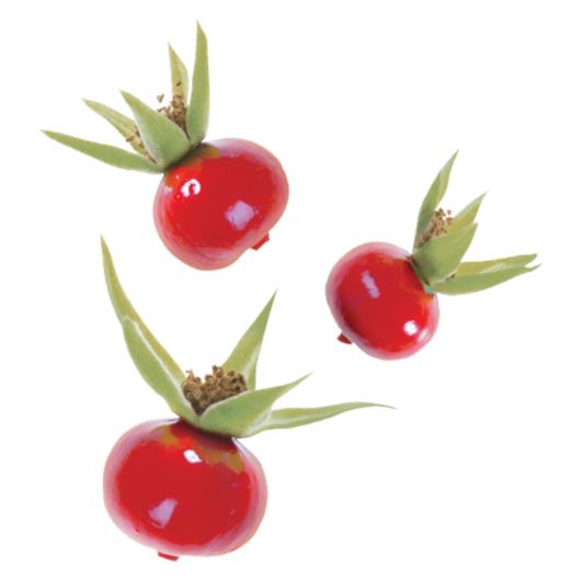 Product gallery 3457296