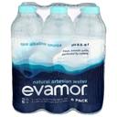 evamor Artesian Alkaline Water, 192 Fluid Ounce -- 2 per case