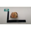 Squab Producers Of California Boned Out Squab, 4 Ounce -- 48 per case