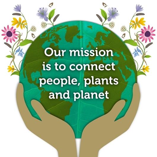 Product gallery 2918581