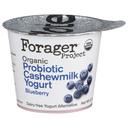 Forager Organic Dairy Free Blueberry Cashewmilk Yogurt, 5.3 Ounce -- 6 per case