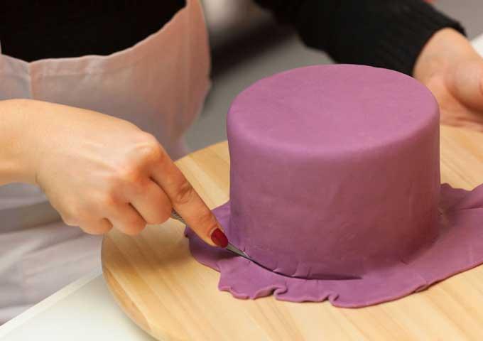 Product gallery 2601082