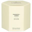 Calyan Wax Oakmoss and Amber Scented Soy Candle, 8.8 Ounce