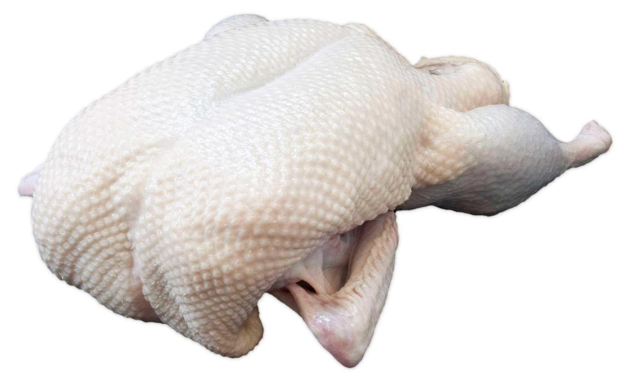 Product gallery 2479437