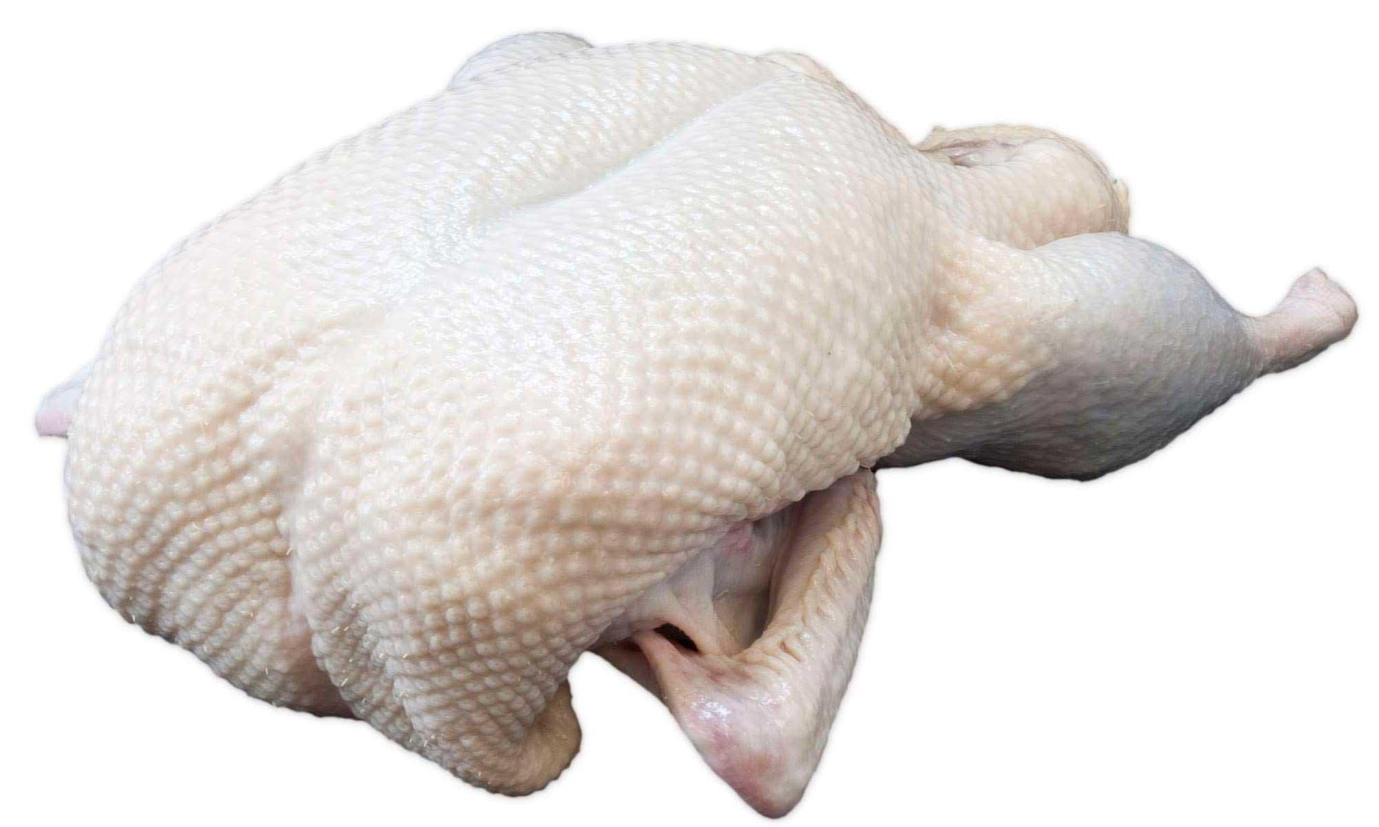 Product gallery 2479485