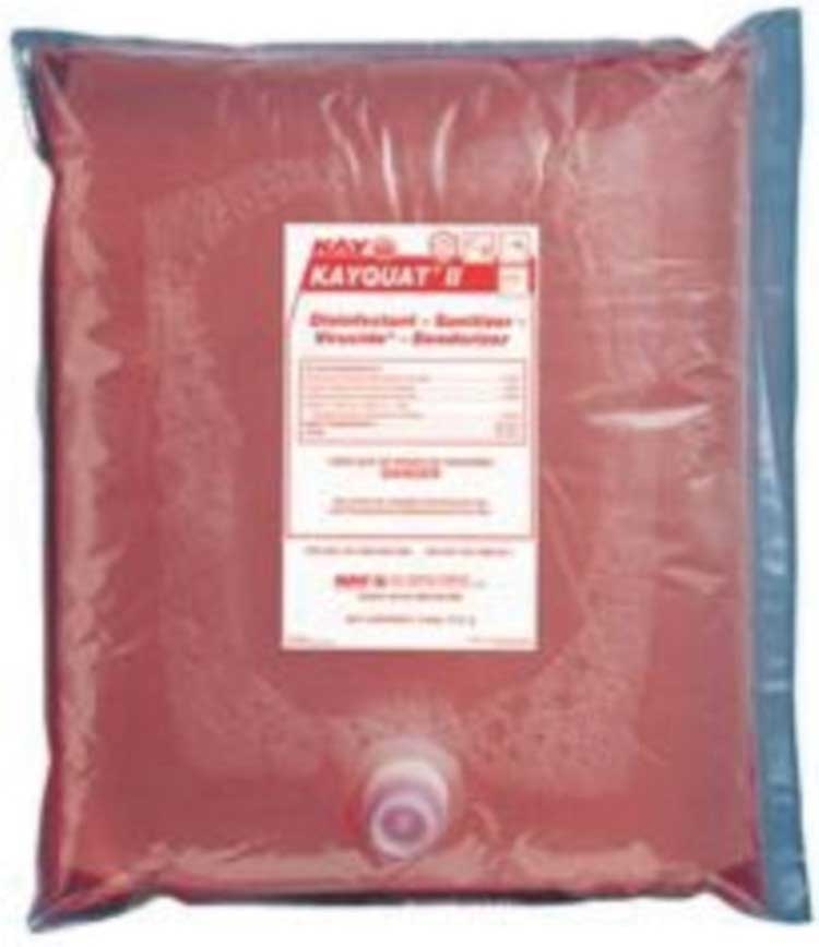 Kay Quat II Sanitizer, 2 Gallon -- 2 per case