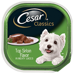 Cesar Canine Cuisine Top Sirloin Flavor in Sauce Dog Food, 3.5 Ounce -- 24 per case.