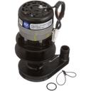 Manitowoc MAN2008929-ORA 115 Volt Water Pump