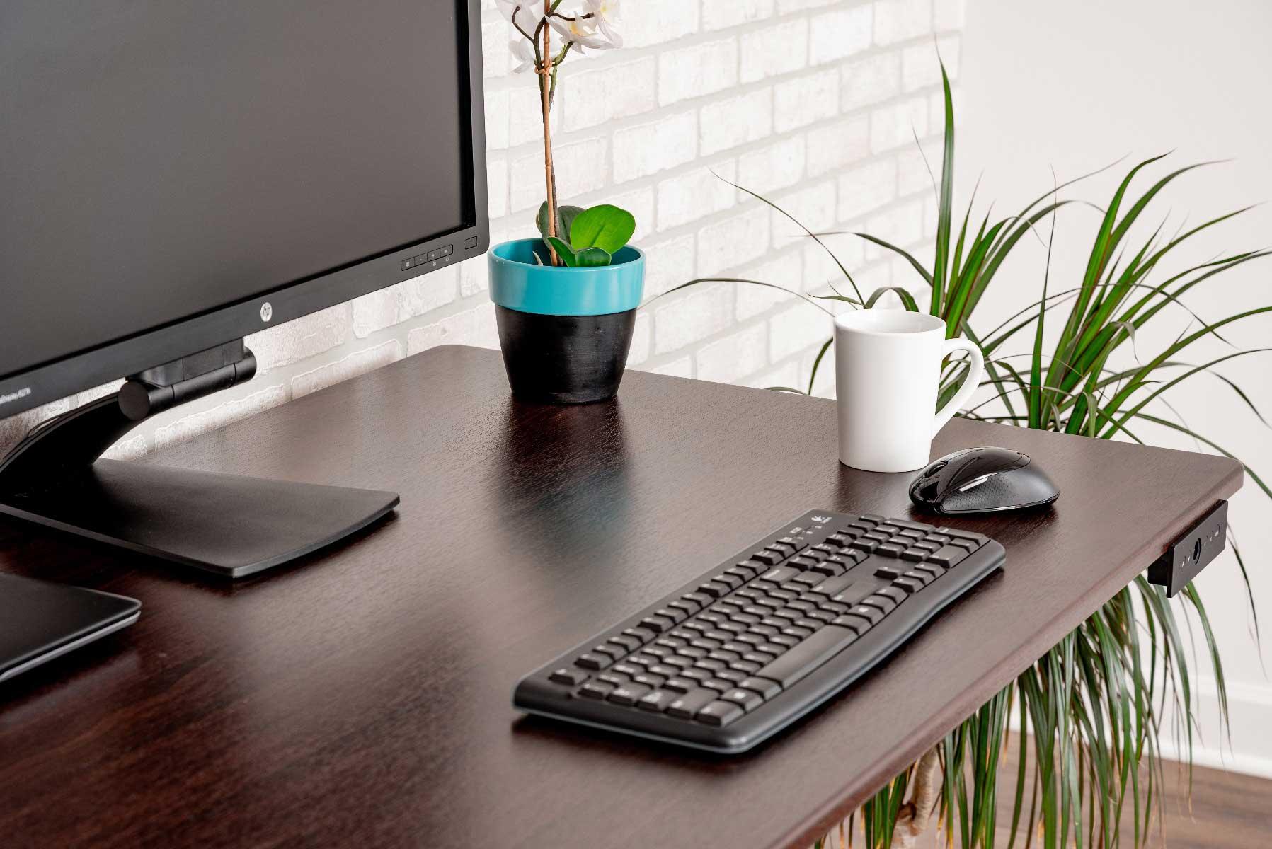 Product gallery 2556178